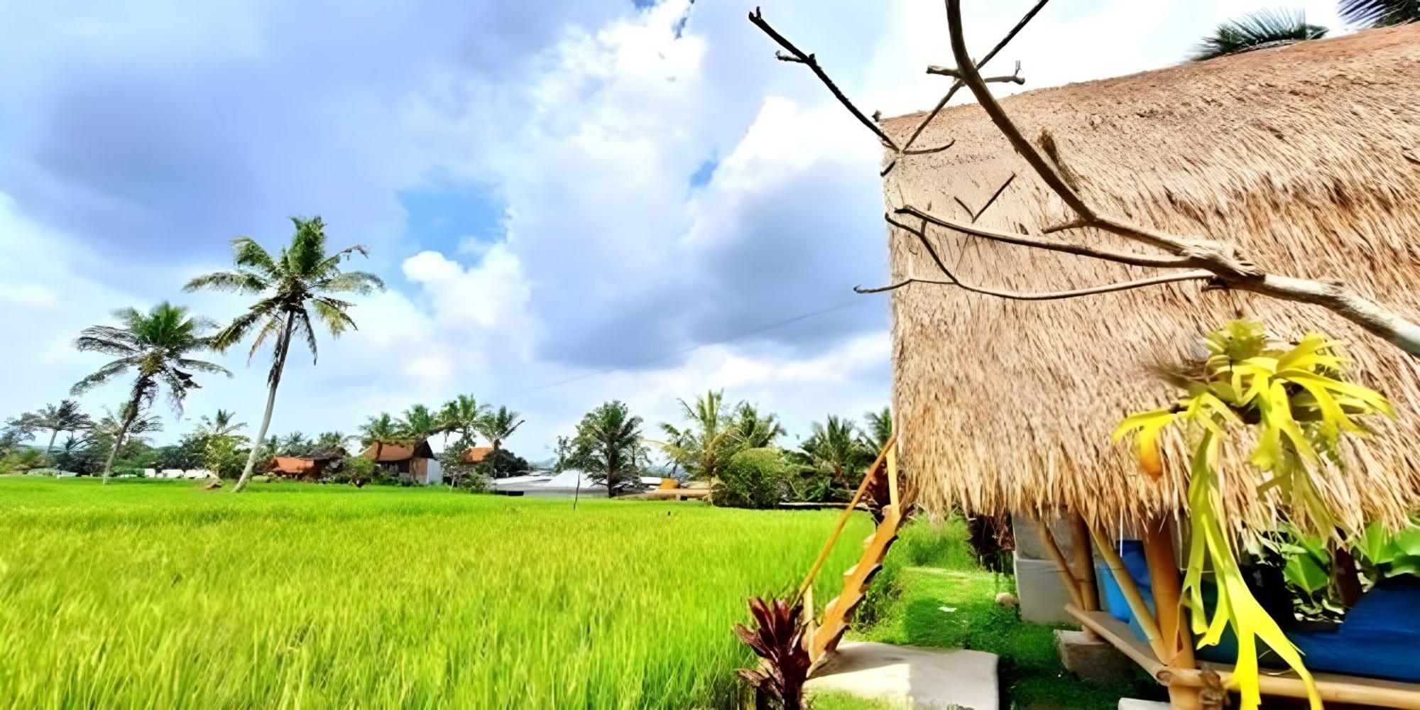 Lumbung Langit Bali House & Hostel Tampaksiring Eksteriør billede