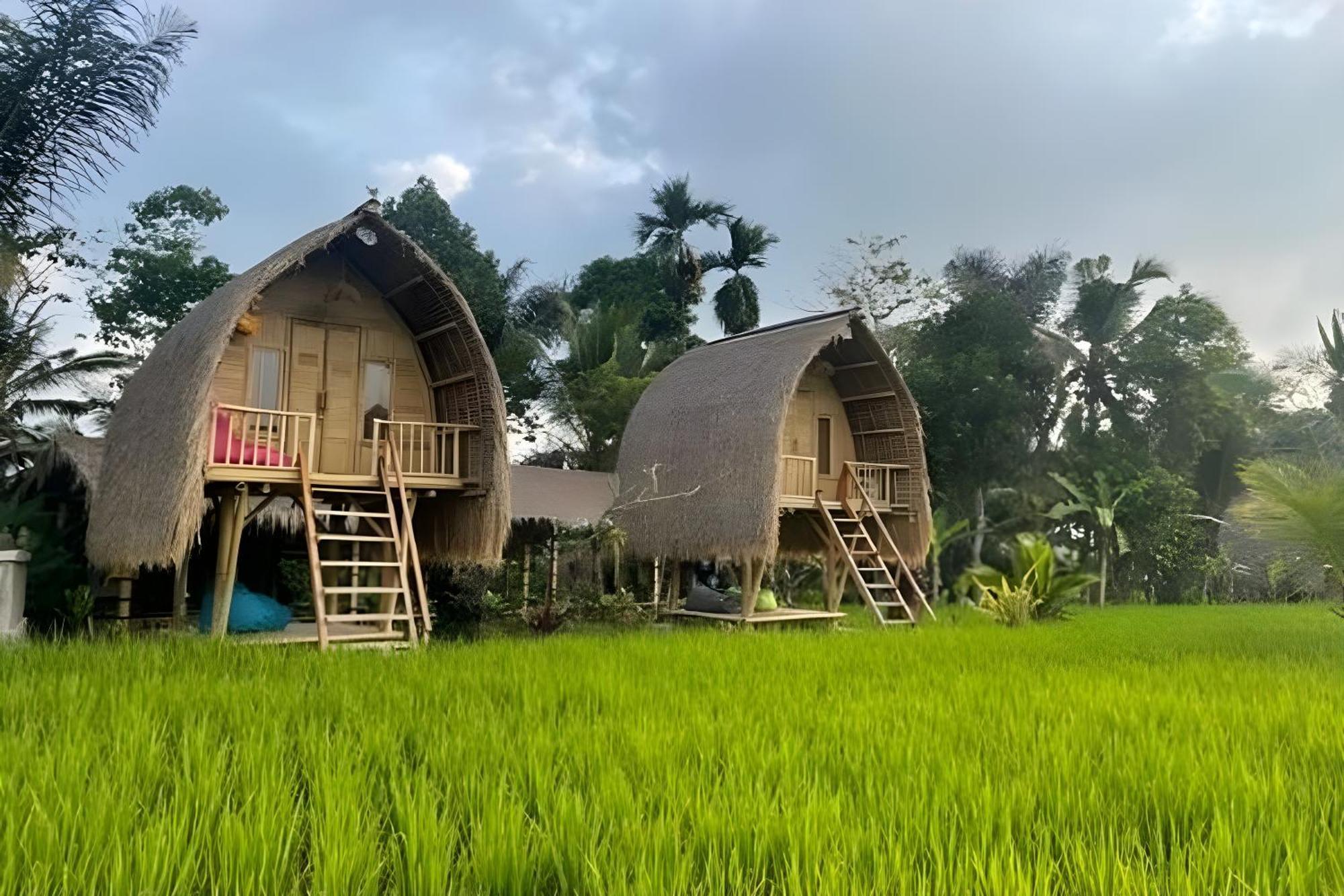 Lumbung Langit Bali House & Hostel Tampaksiring Eksteriør billede