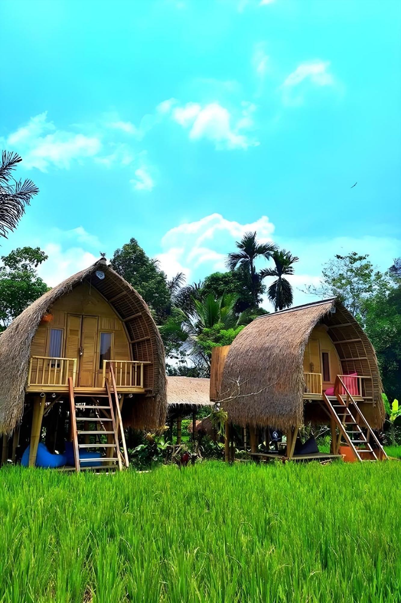 Lumbung Langit Bali House & Hostel Tampaksiring Eksteriør billede