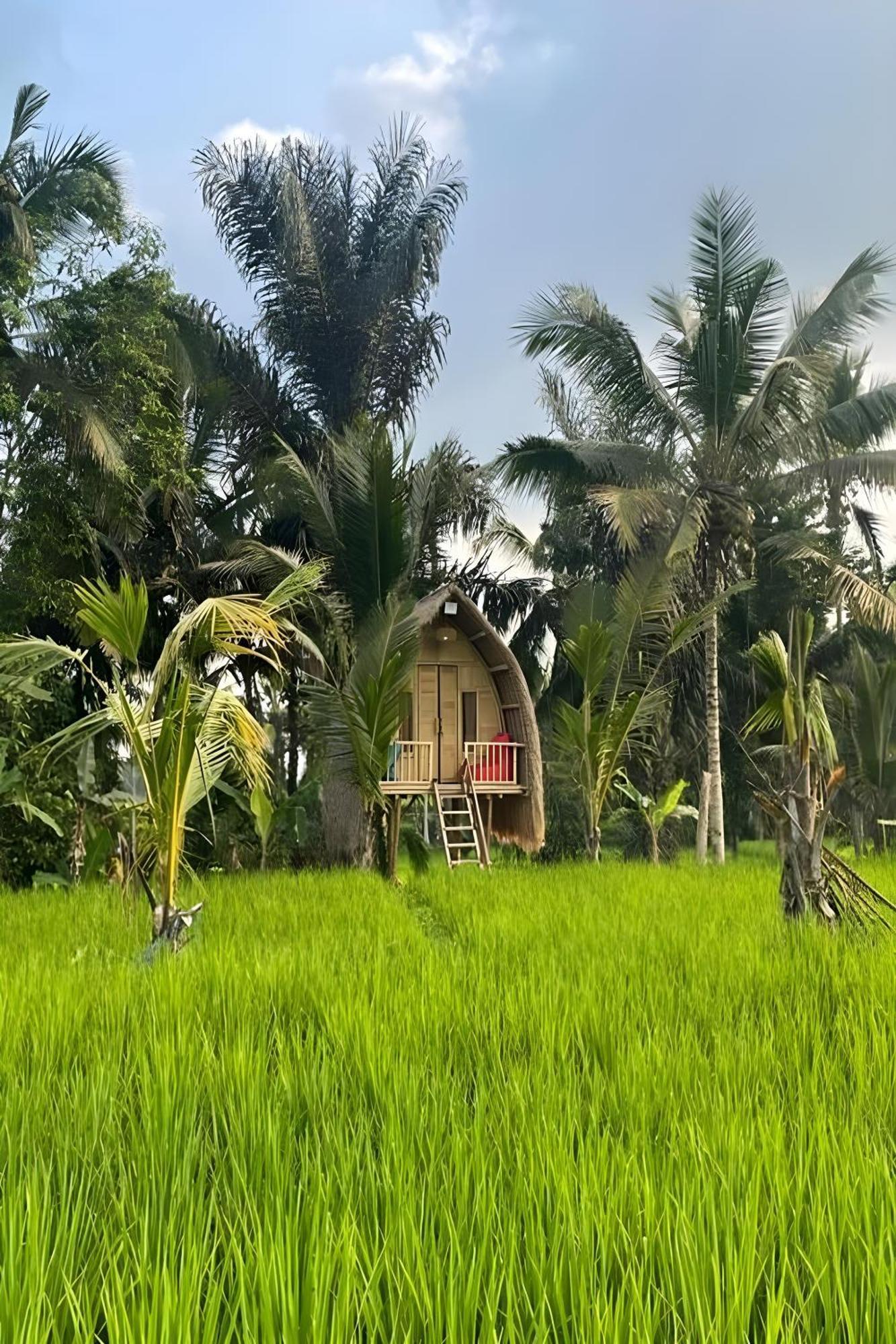 Lumbung Langit Bali House & Hostel Tampaksiring Eksteriør billede